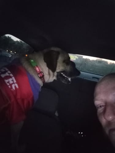 Brianna K. photo with Pawtiva tag