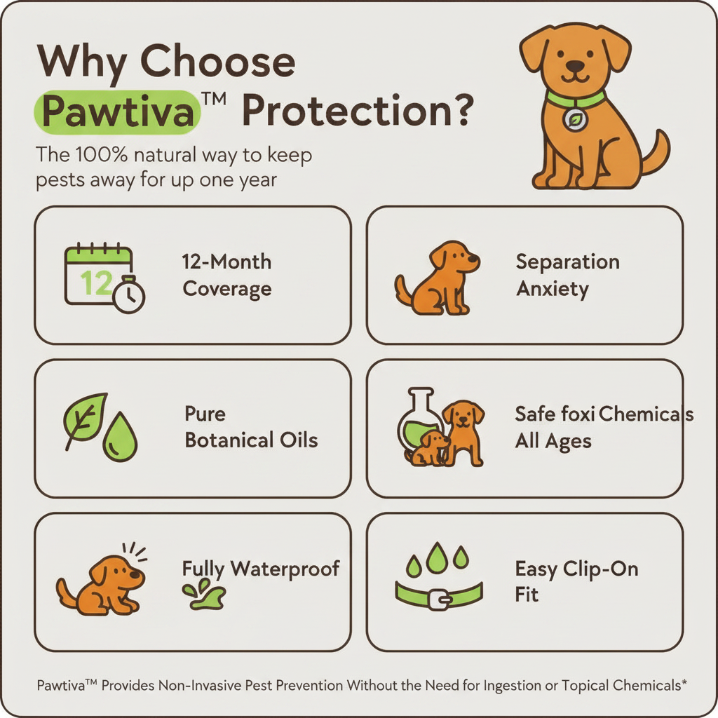 Pawtiva™ Flea & Tick Defense 12 Months Protection