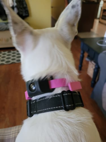 Karen W. photo with Pawtiva tag